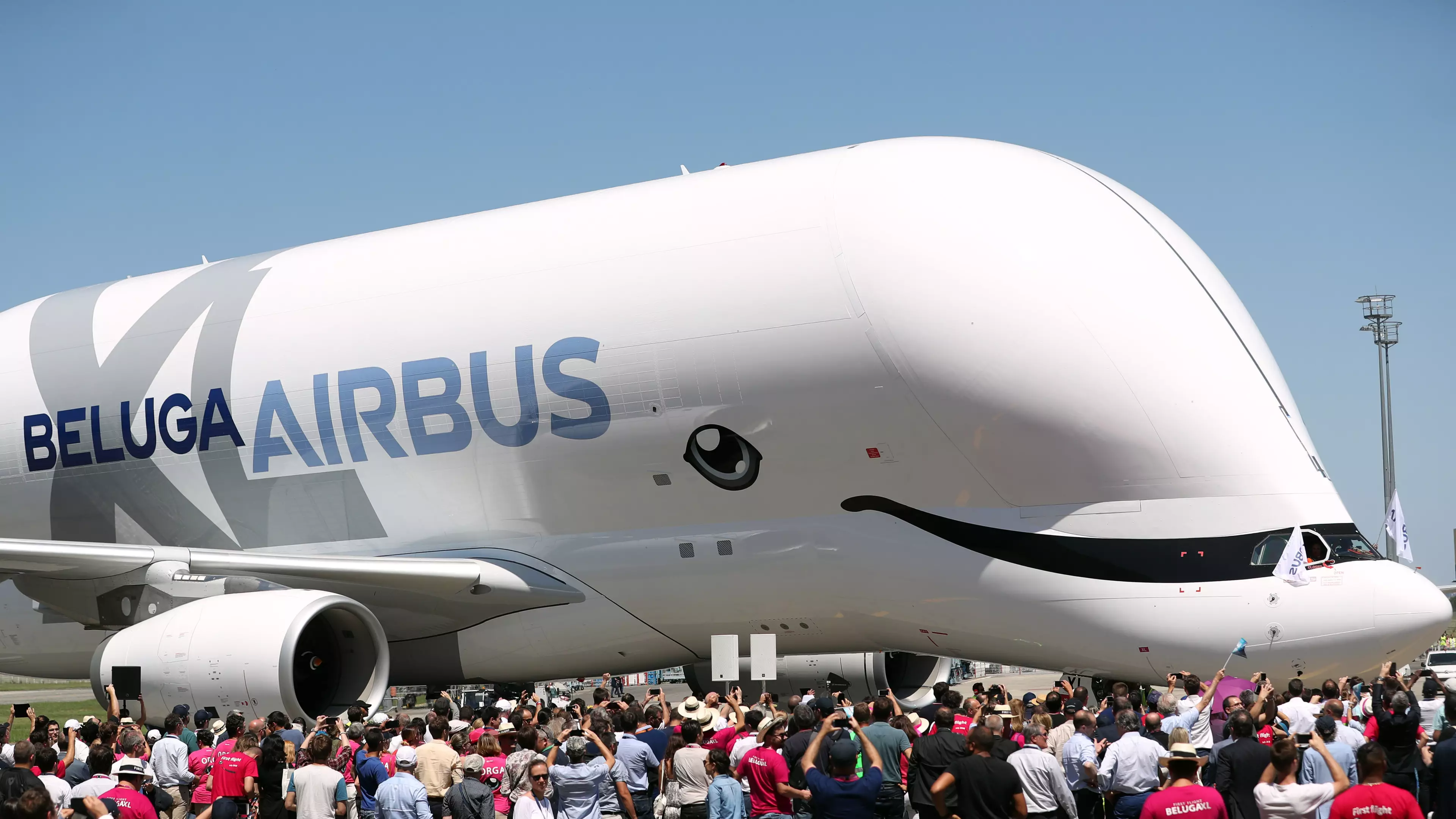 Airbus Launch New Beluga XL Plane That Looks Like A Whale
