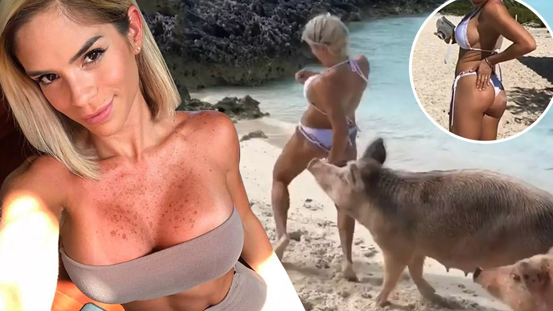 Instagram Fitness Model Michelle Lewin Bitten On The Bum By Pig In The Bahamas