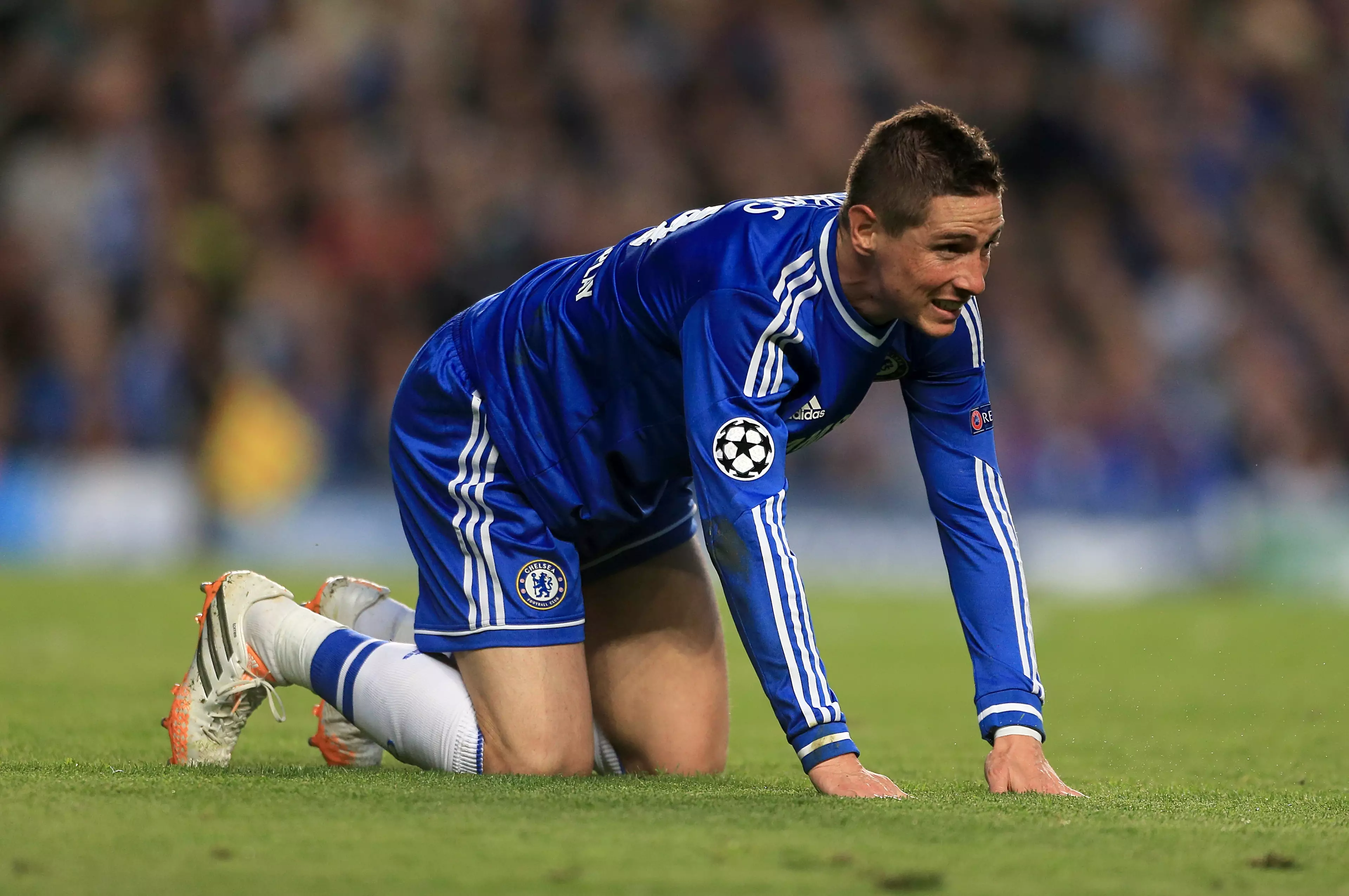 Torres's move to the Blues didn't work out at all. Image: PA Images