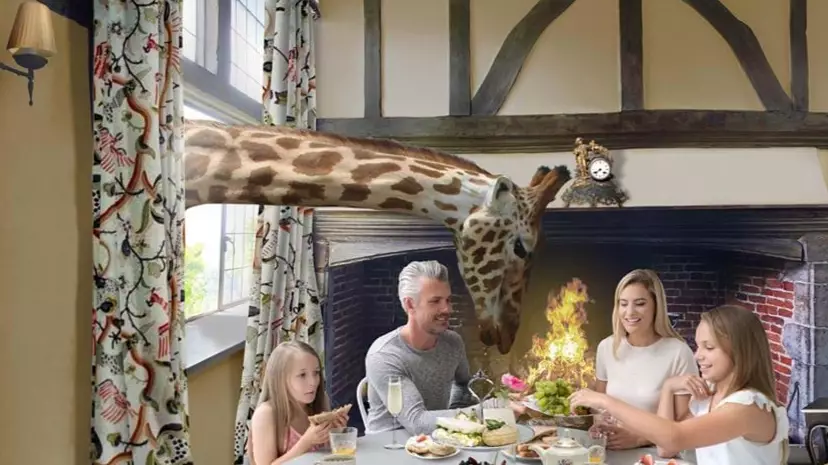 'Giraffe Hall' Hotel Where You Can Dine With The Animals To Open In The UK