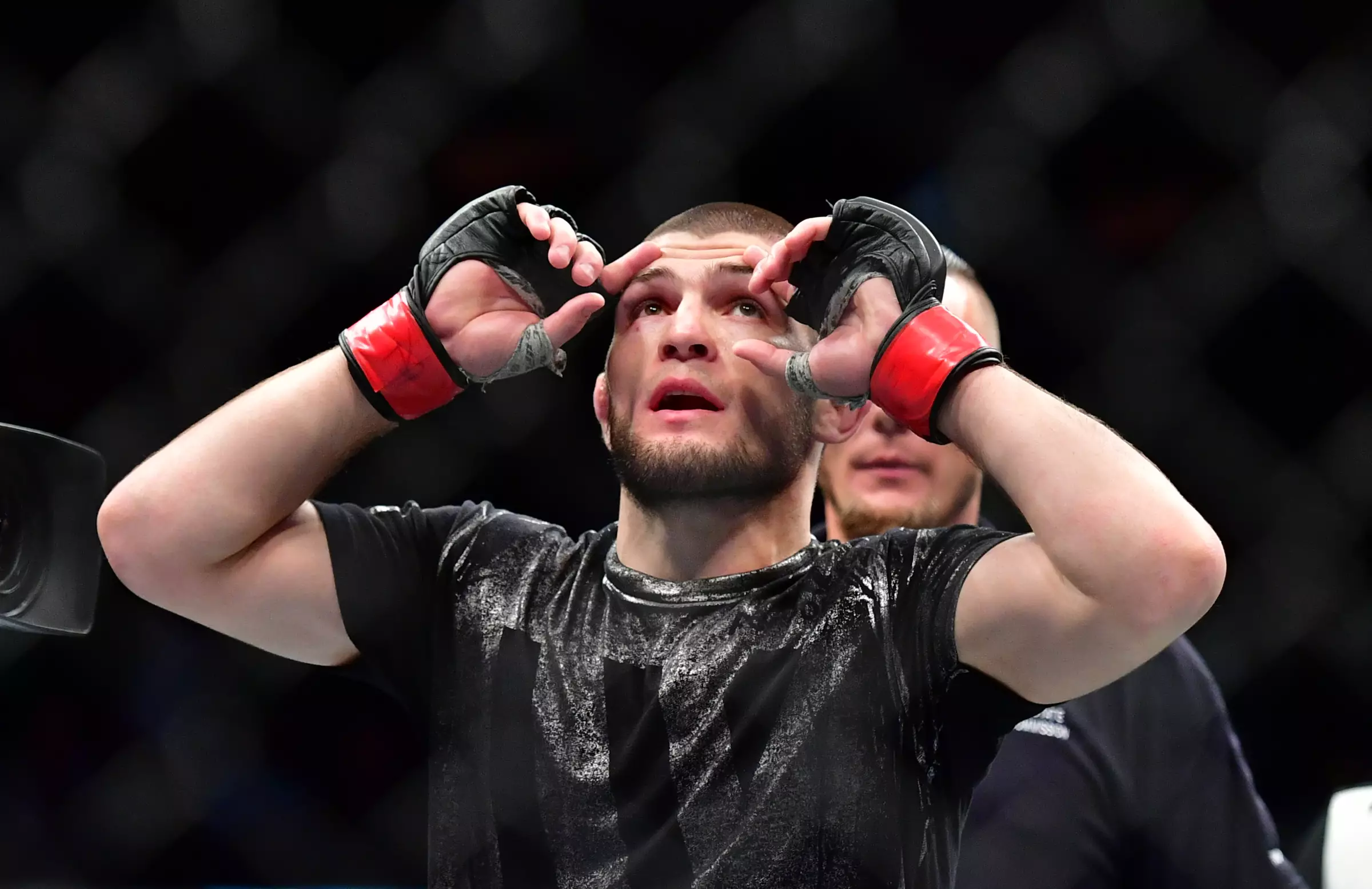 Khabib is undefeated in MMA. Image: PA Images