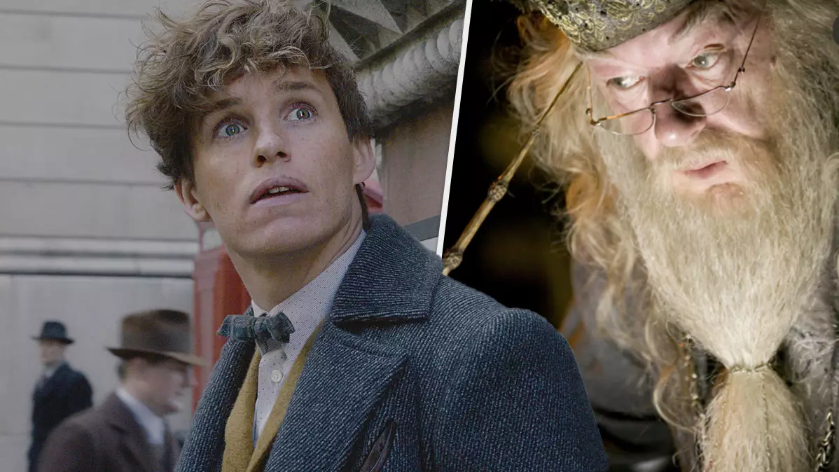 'Fantastic Beasts: The Secrets Of Dumbledore' Trailer Drops