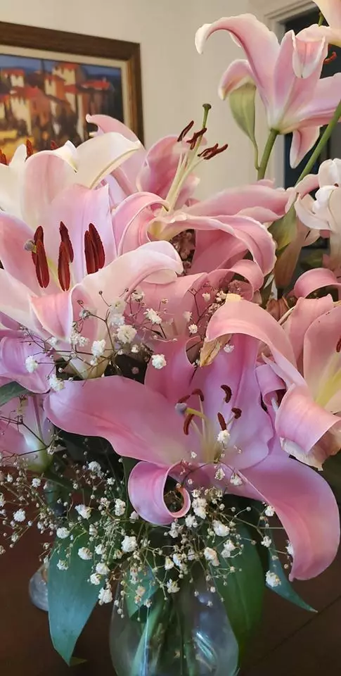 Brittany shared a photo of the lilies which killed her cat (