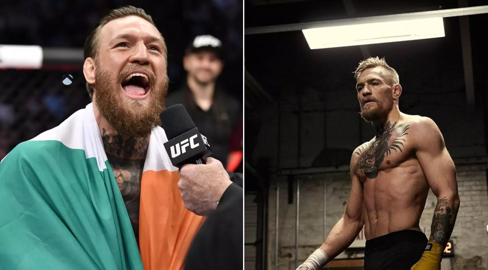 Conor McGregor Rips Into Khabib Nurmagomedov And All Lightweight Title Contenders