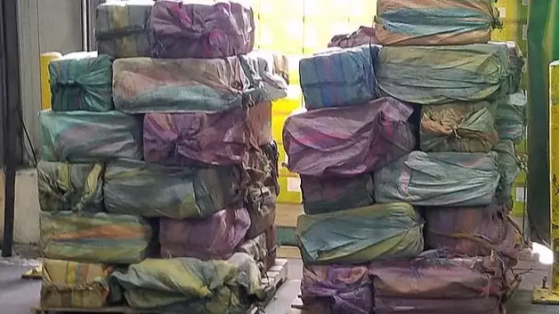 US Authorities Seize 'One Of The Biggest Cocaine Shipments In 25 Years'