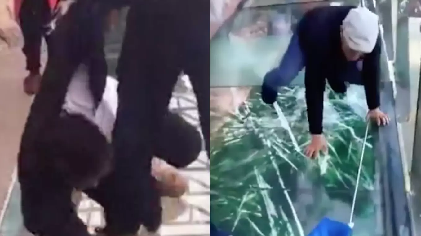 This 'Cracking' Glass Bridge Is Absolutely Terrifying 