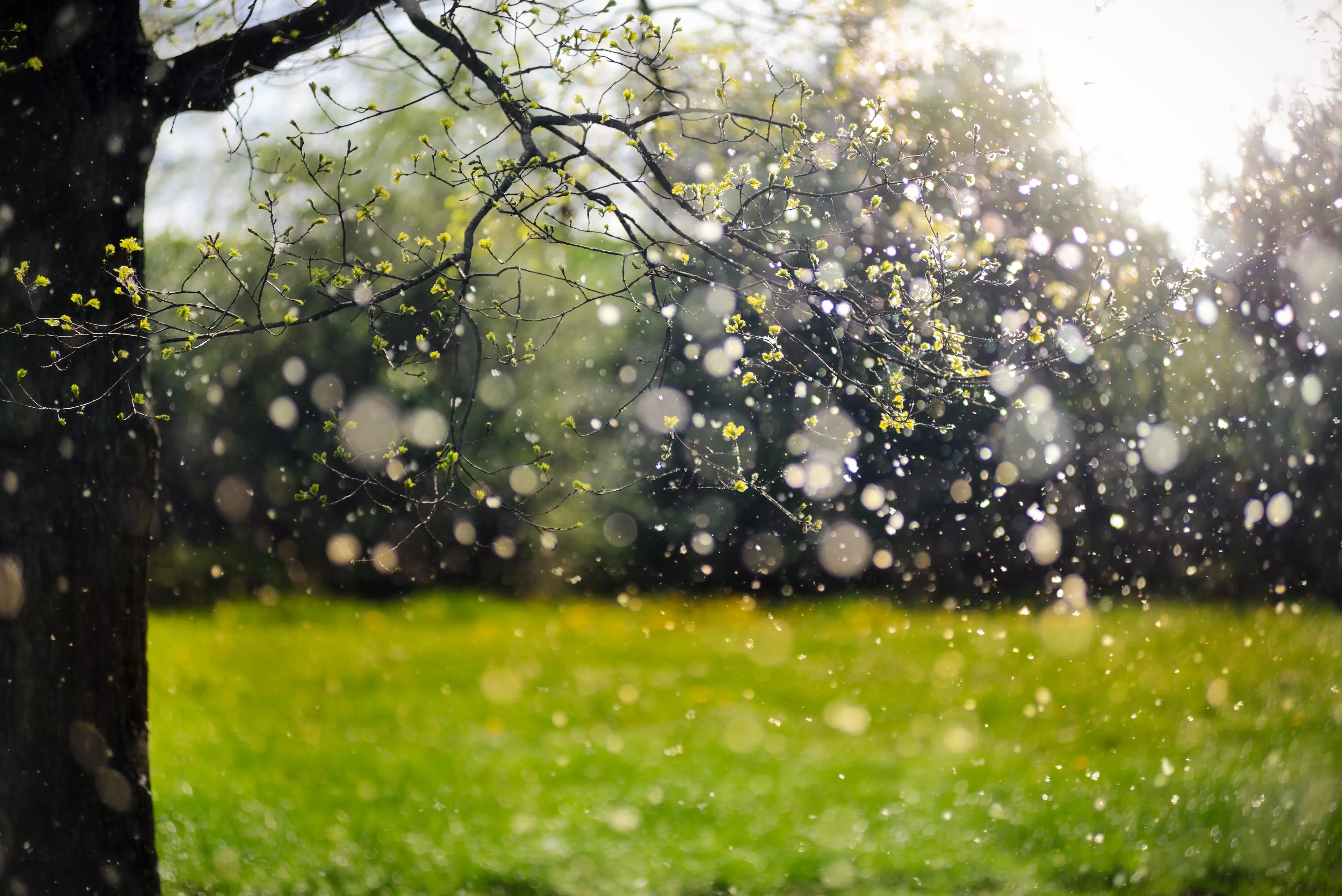 The NHS recommends changing your clothes after you have been outside (