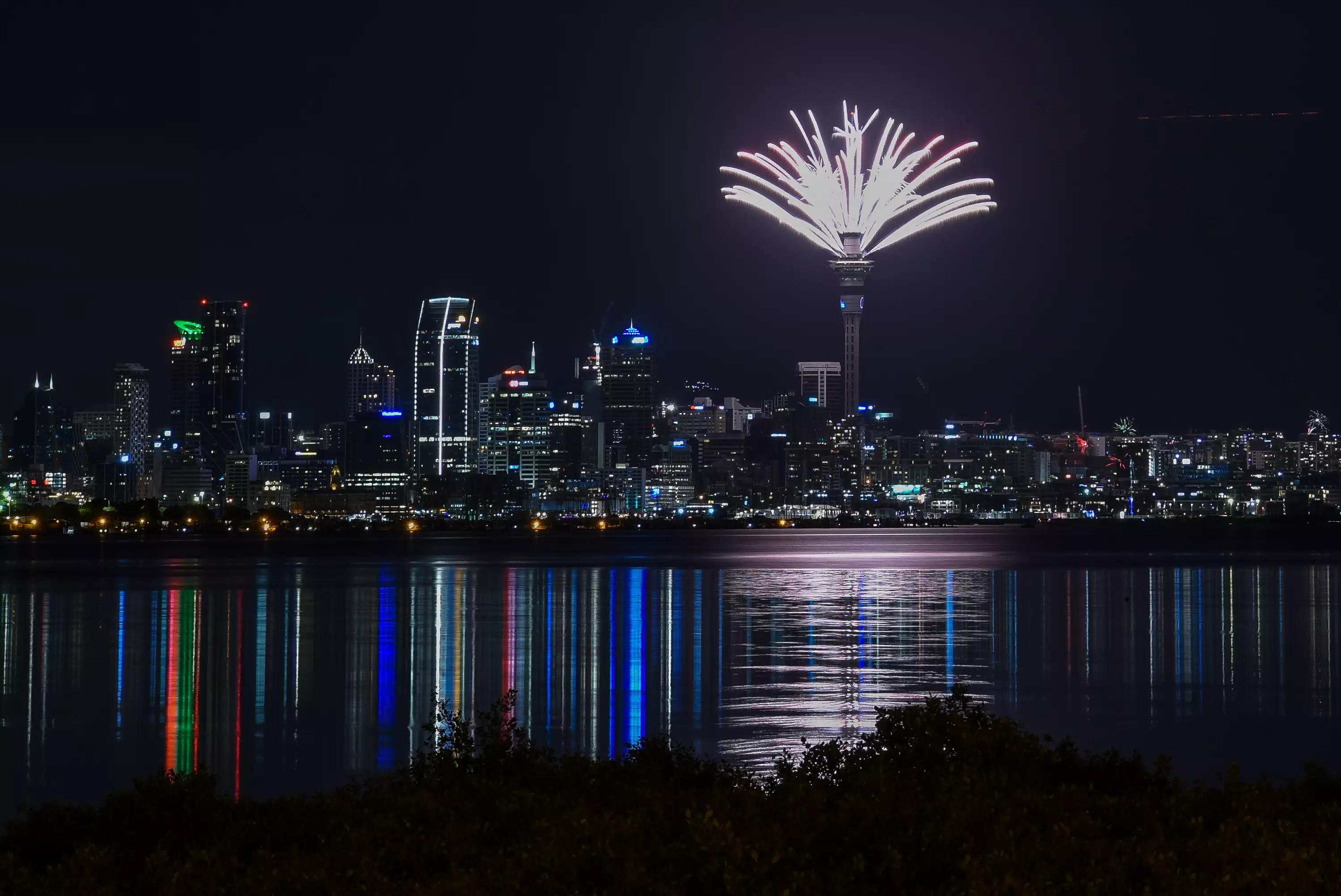 A firework display at Auckland Harbour Bridge attracted huge crowds.