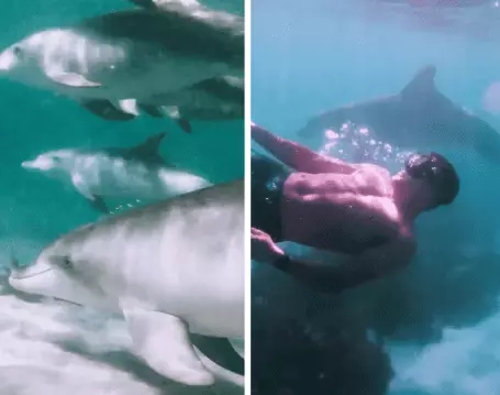 Zac Efron shared pictures of from his scuba-diving trip (