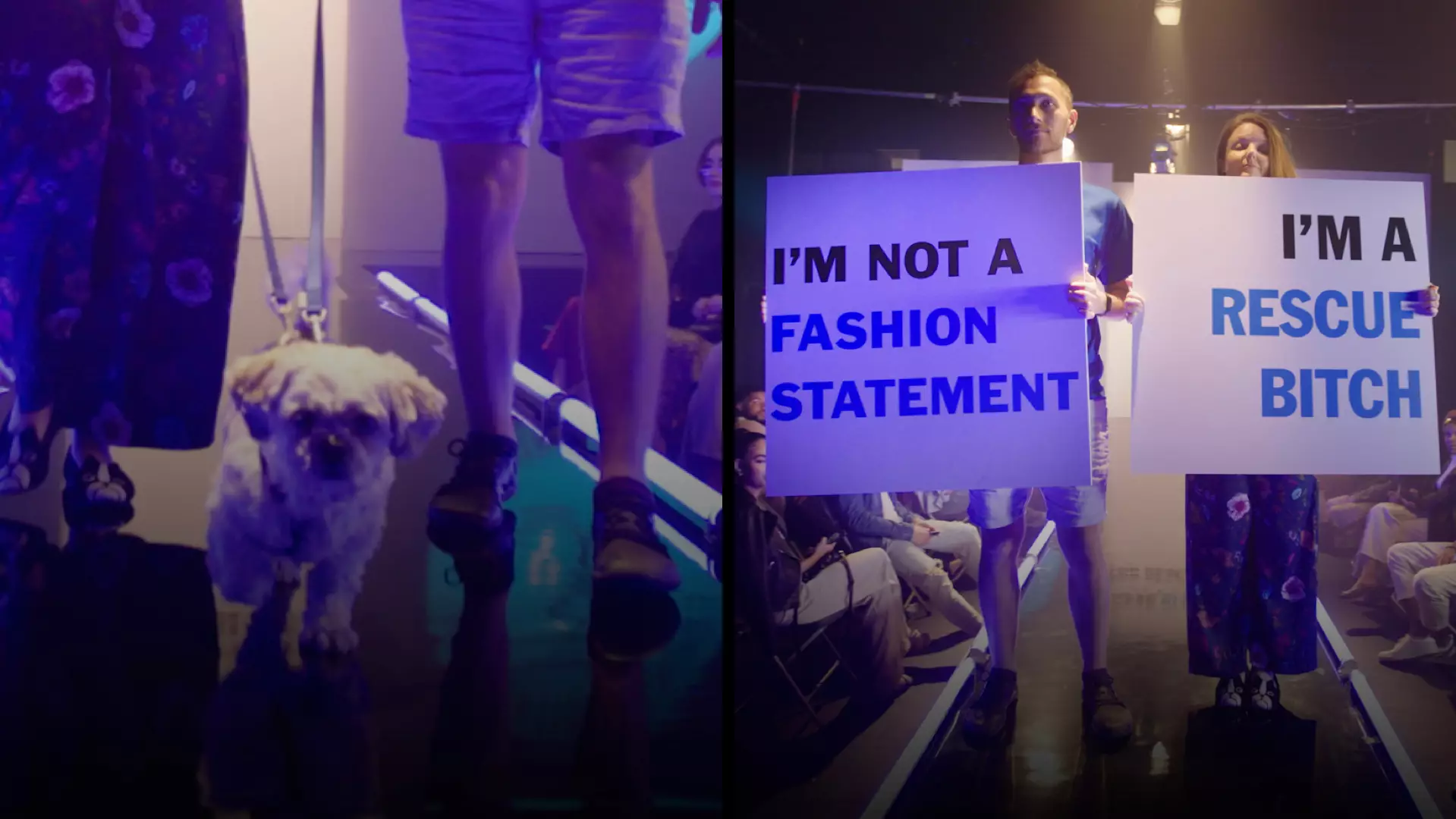 Rescue pets crash London Fashion Week with their very own show