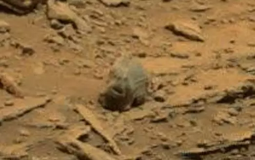 Paranormal Investigator Thinks He's Found Big Foot's Skull On Mars