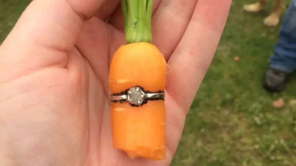 Farmer Proposes To Girlfriend With One Carrot Diamond Ring