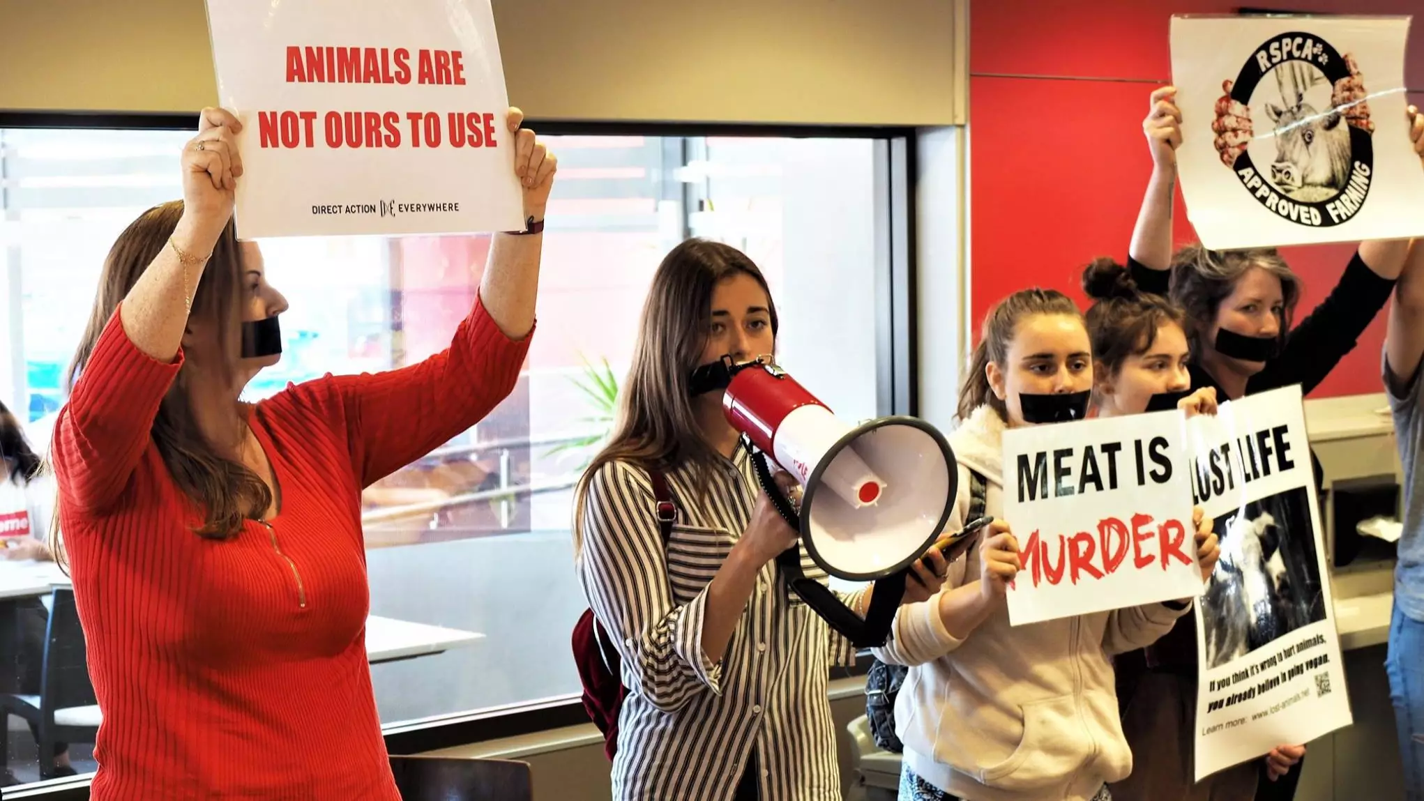 Vegan Manifesto Reveals Activists Want A Constitutional Bill Of Animal Rights By 2055