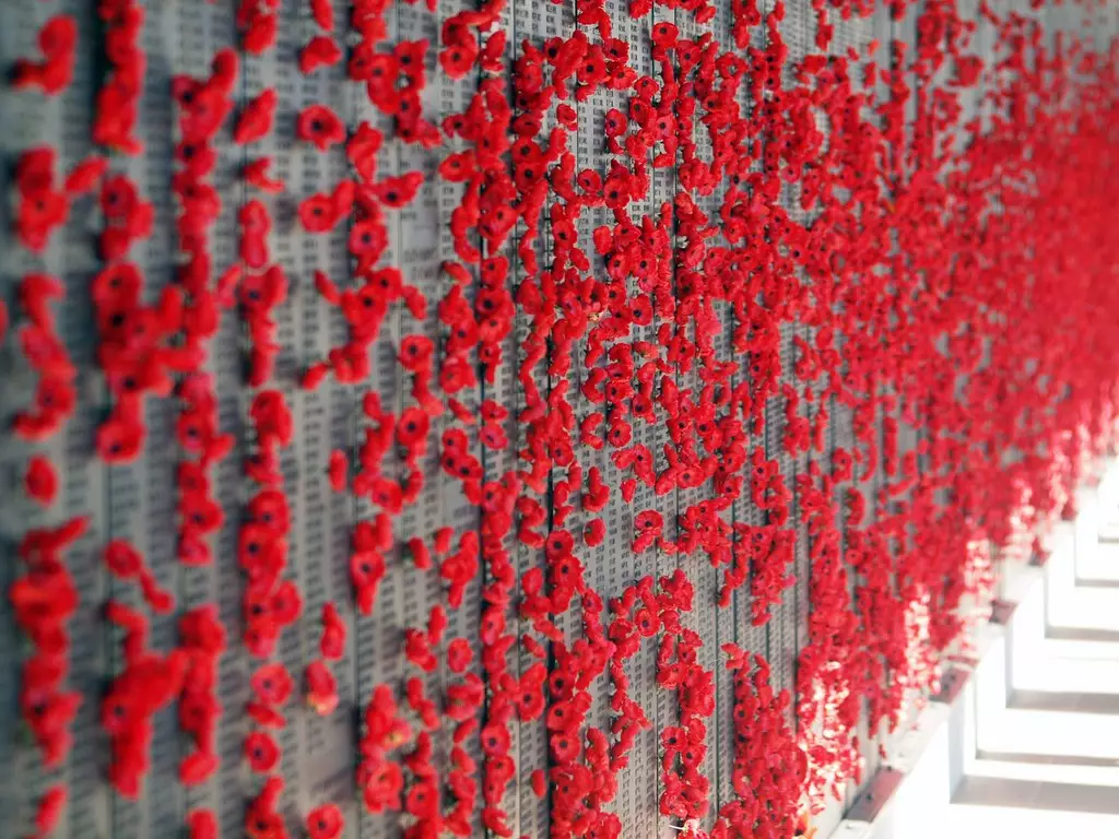 Poppies left at the Australian War Memorial.