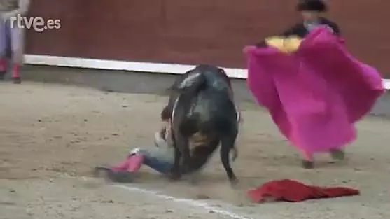23-Year-Old Bullfighter Gored Through Throat, Mouth And Tongue