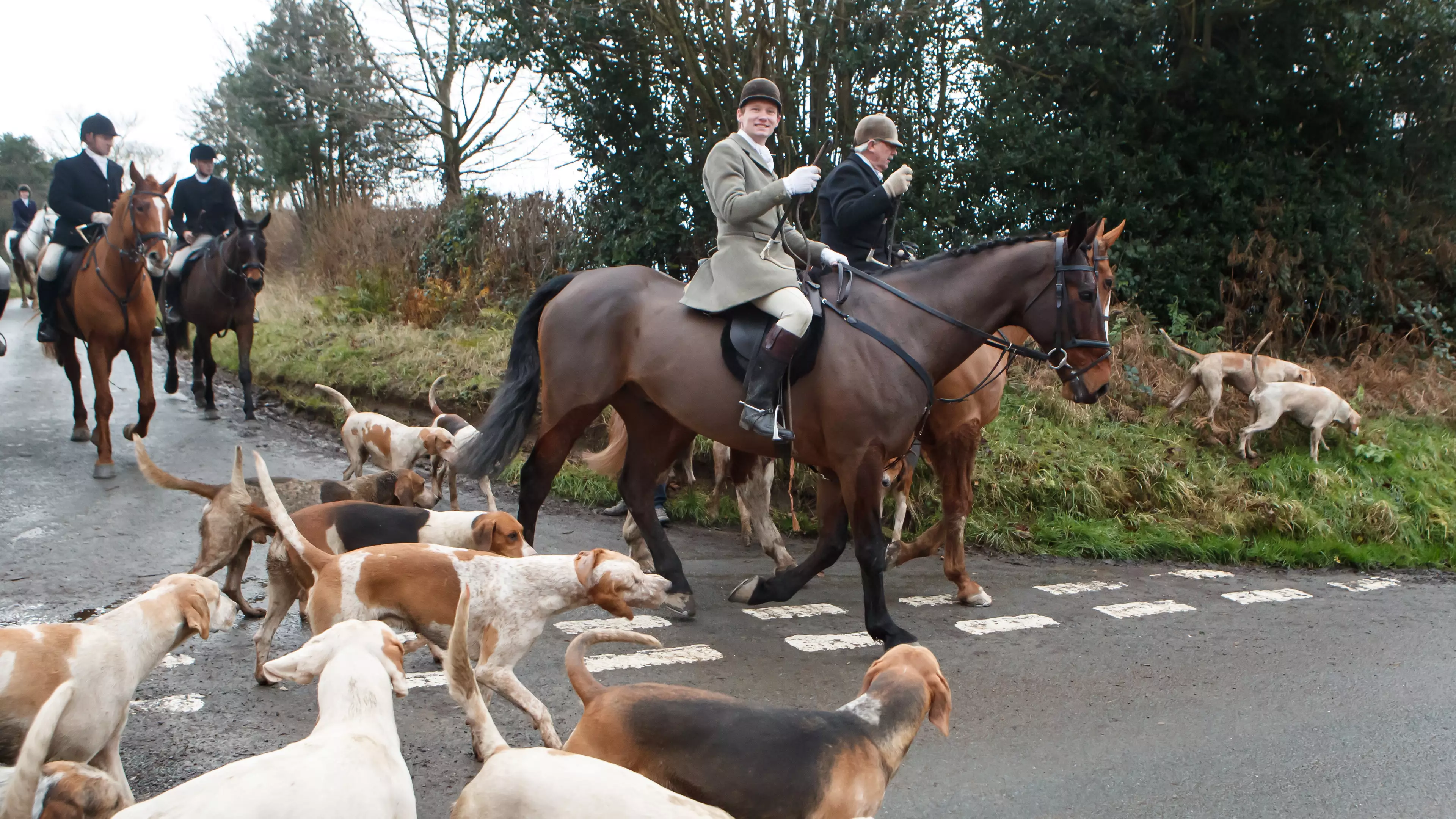 Boxing Day Hunts Went Ahead Despite Covid Restrictions