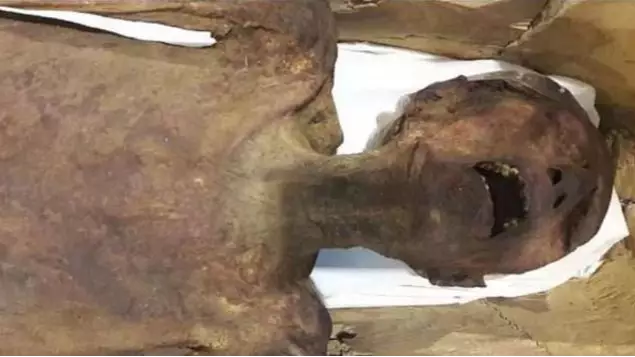 'Screaming Mummy' Revealed To Be Egyptian Princess Who Died Of Heart Attack