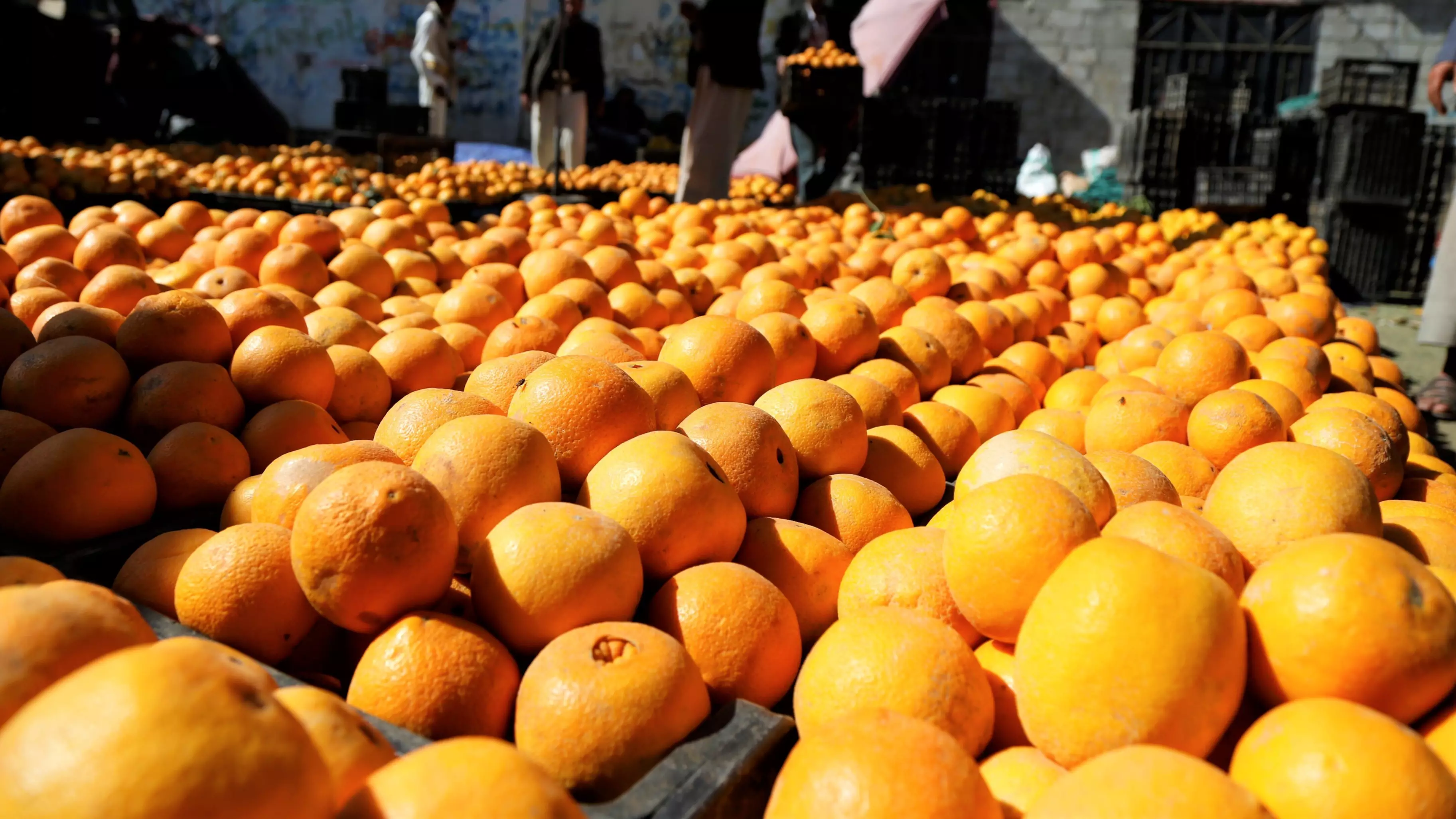 Passengers Sustain Mouth Ulcers After Eating 30kg Of Oranges To Avoid Baggage Fee
