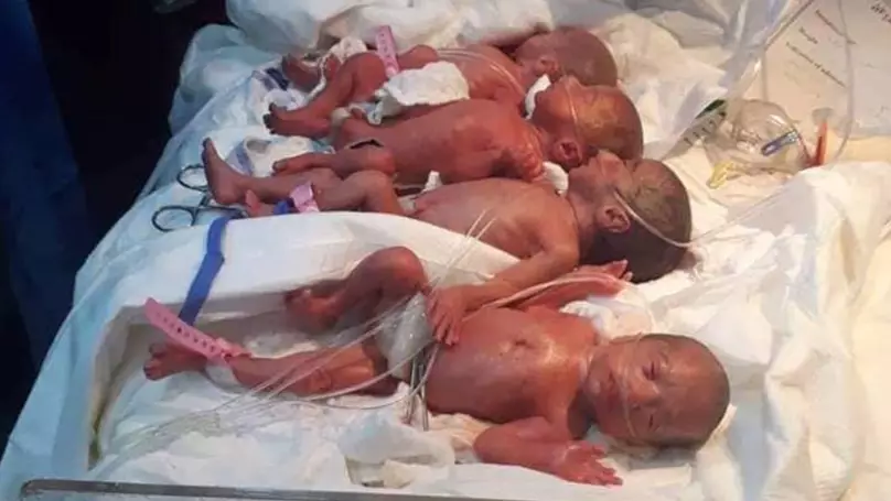 A mum in Iraq gave birth to six girls and a boy.