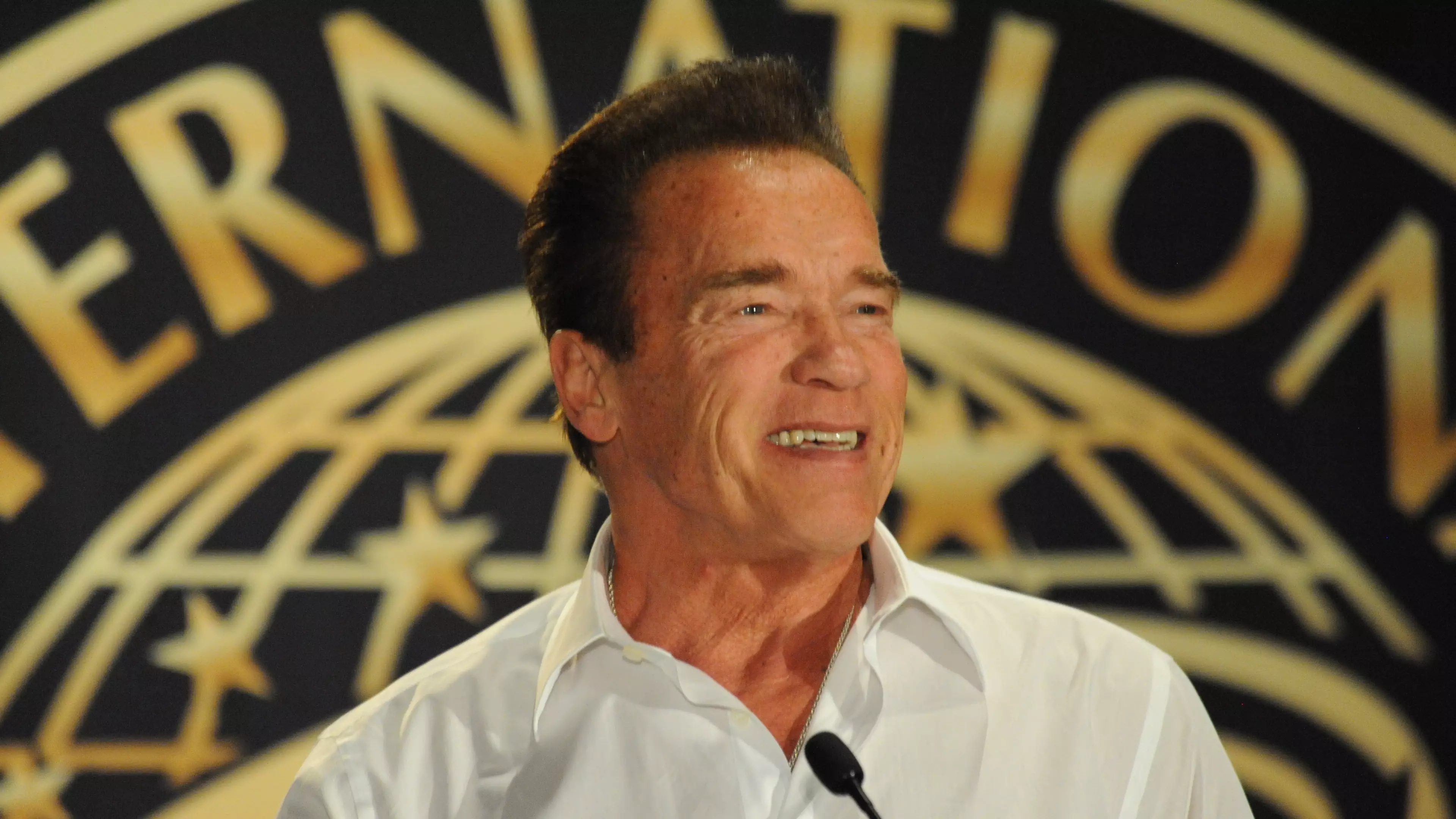 Arnold Schwarzenegger Is 'Awake And In Good Spirits' Following Surgery, According To Representative 