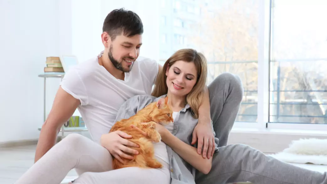 There's A New Dating App For Cat Lovers