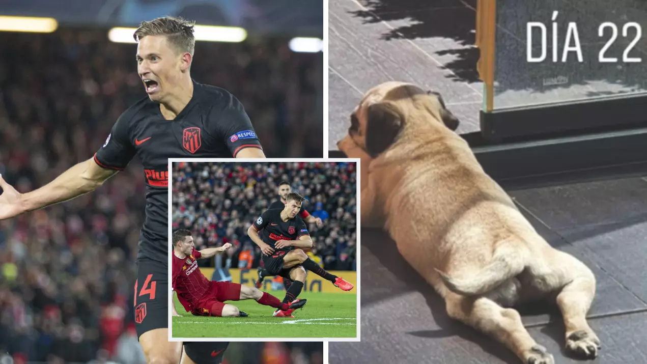 Atletico Madrid's Marcos Llorente Trolls Liverpool With The Name Of His New Dog