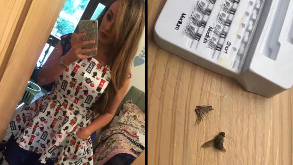 Mum Tries To Glue Dead Fly To Eyelid Thinking They're Fake Lashes