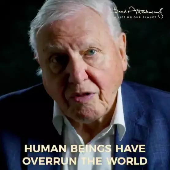 David Attenborough says the film is his 'witness statement' (