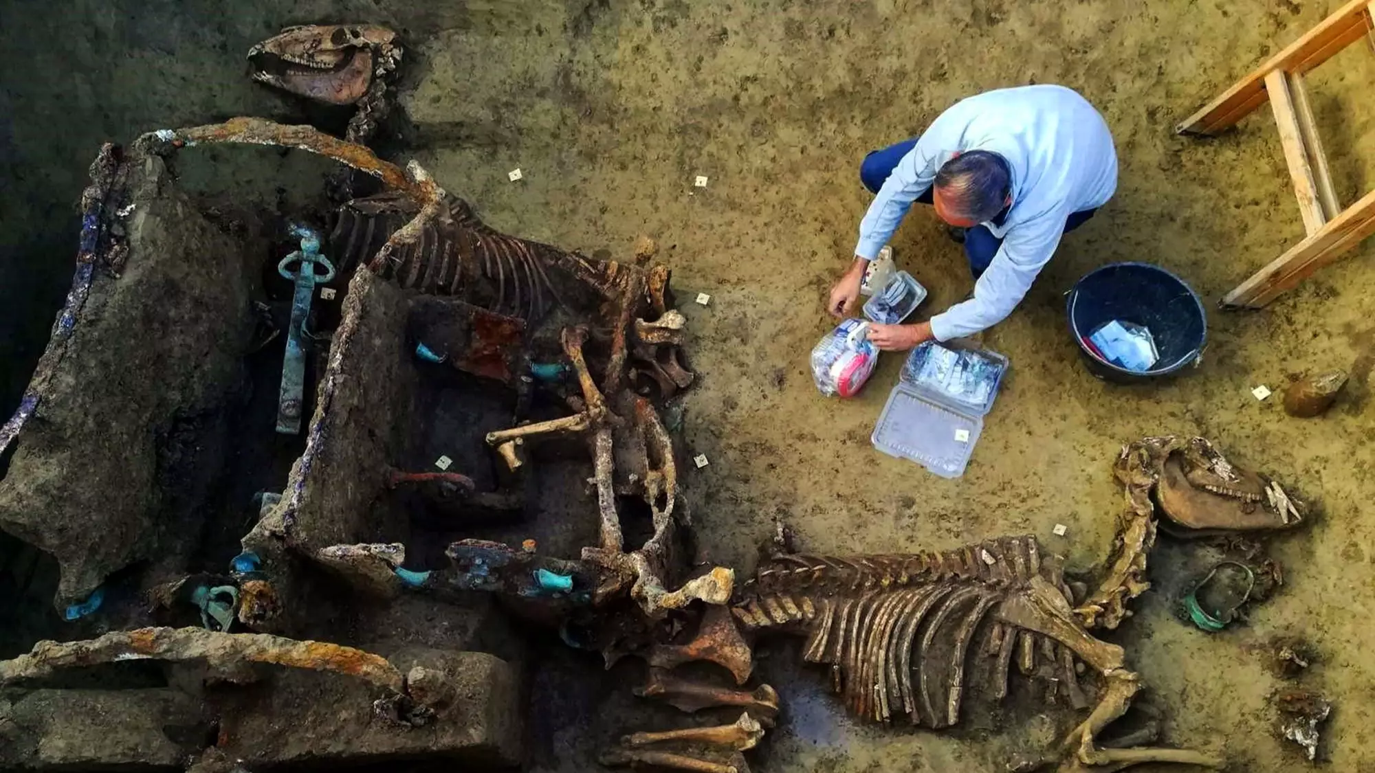 Archaeologists Unearth Fossilised Roman Chariot With Two Horses In Croatia