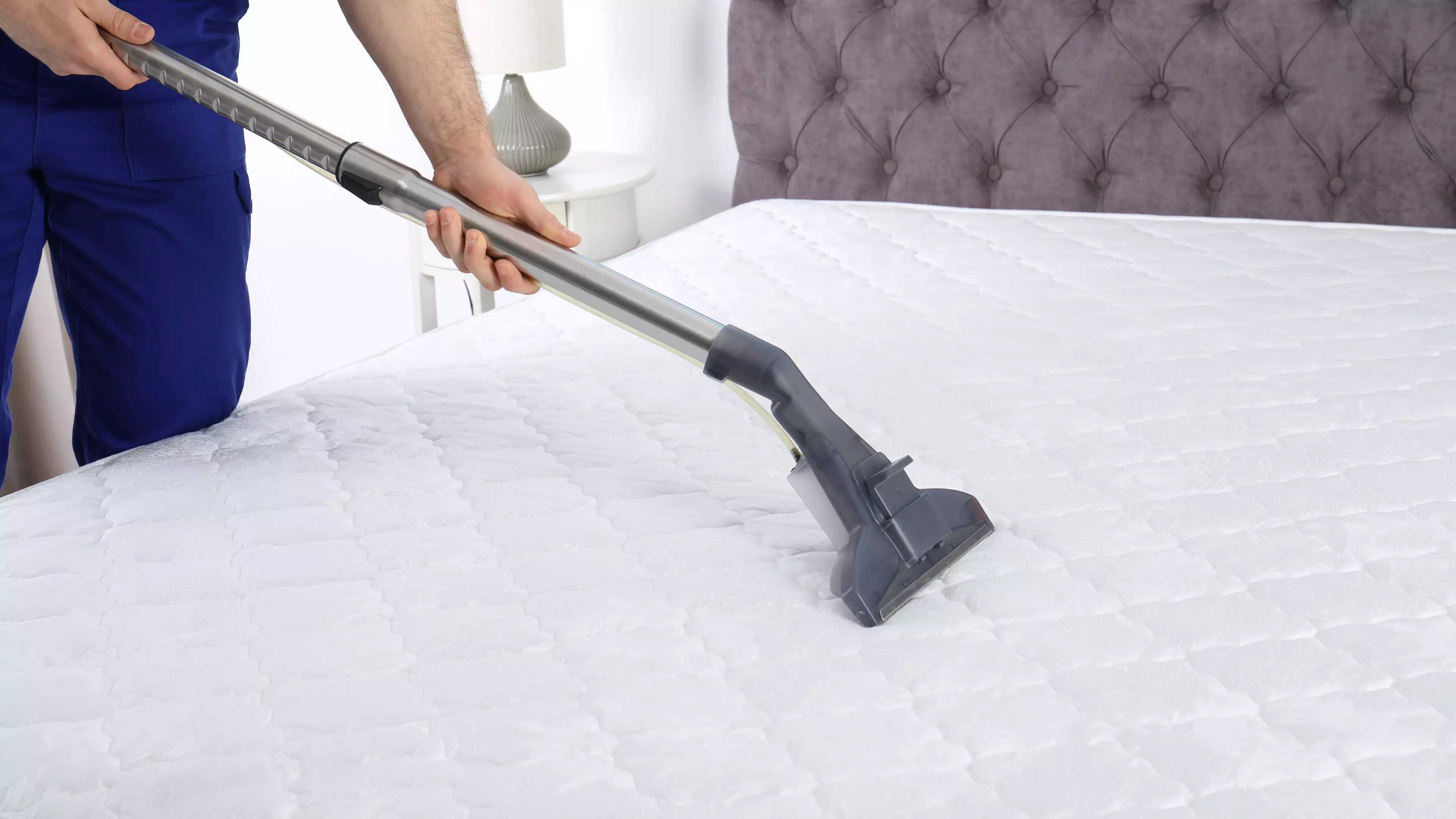 Mattresses Need To Be Vacuumed Every Six Months To Pull Out Skin Cells