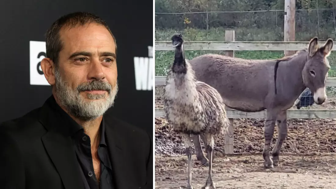 Walking Dead Actor Adopts Donkey And Emu That 'Fell In Love' After Being Abandoned