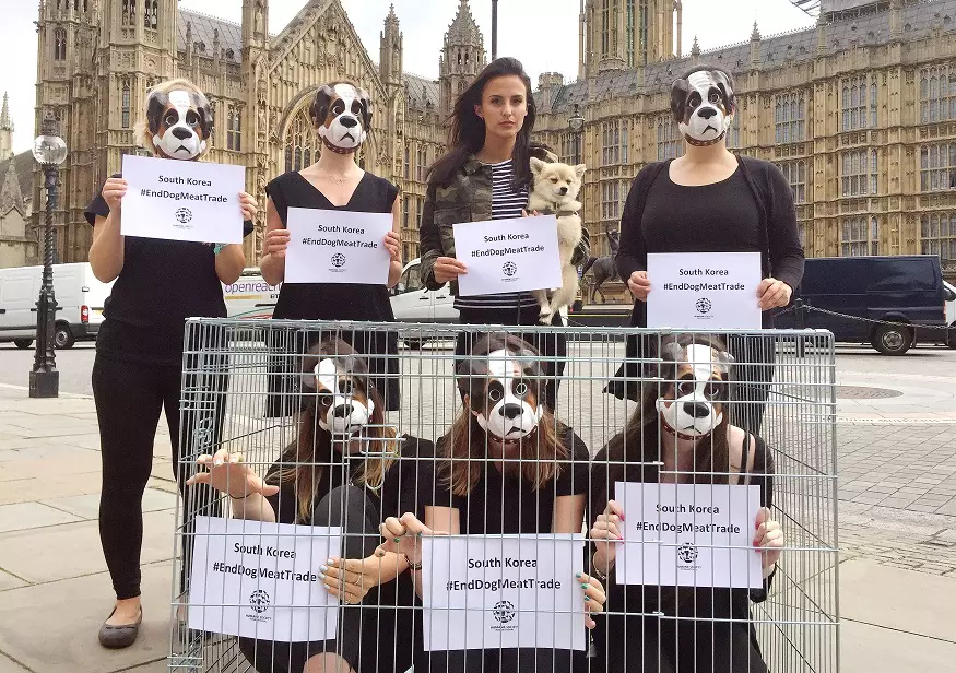 Protesters urge the UK government to encourage South Korea to end its dog meat trade.