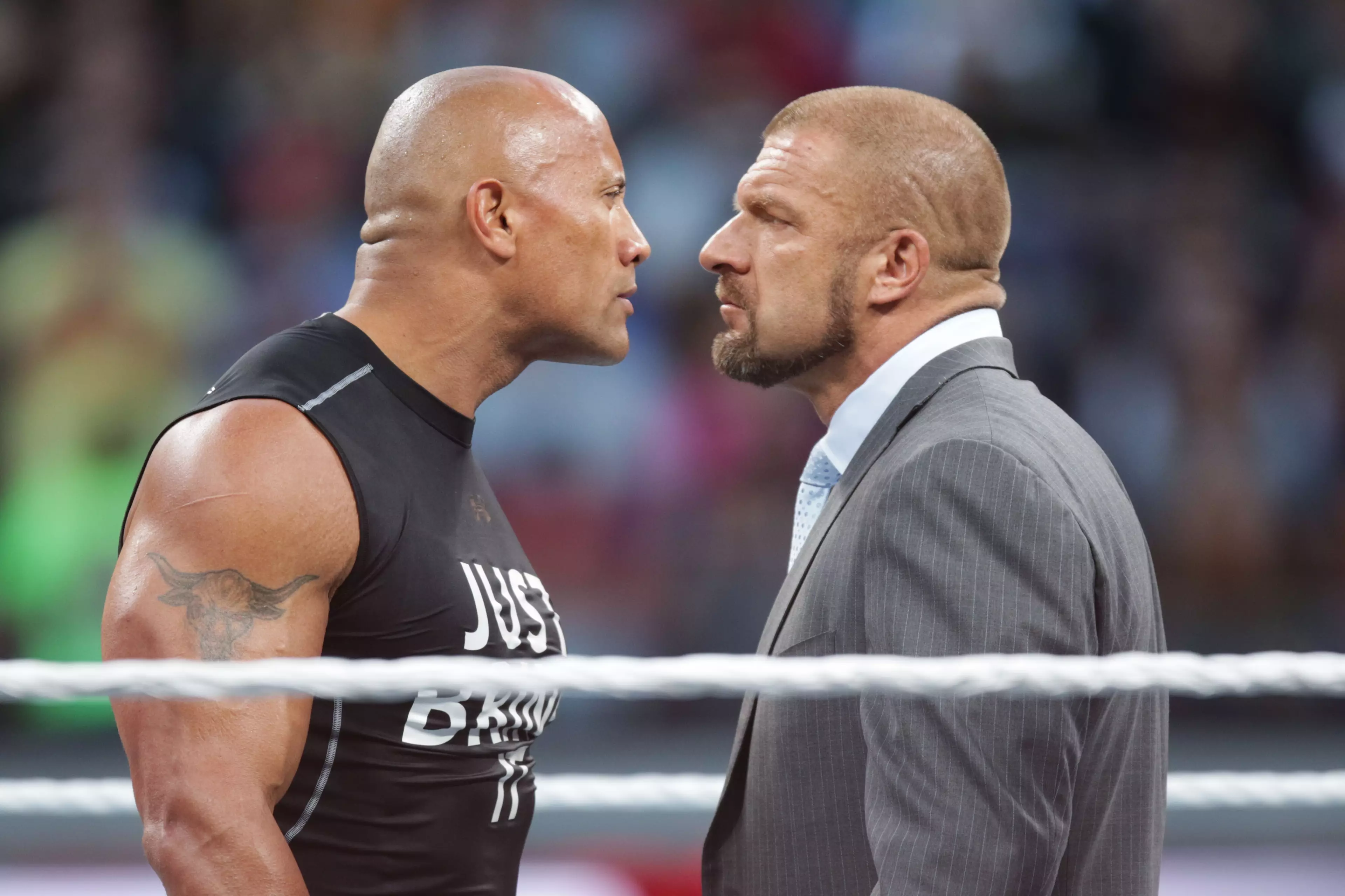 Triple H Talks About The Possibility Of Seeing Rousey And McGregor In WWE
