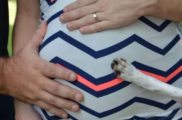 This Dog Refused To Be Left Out Of Its Owner's Maternity Photos