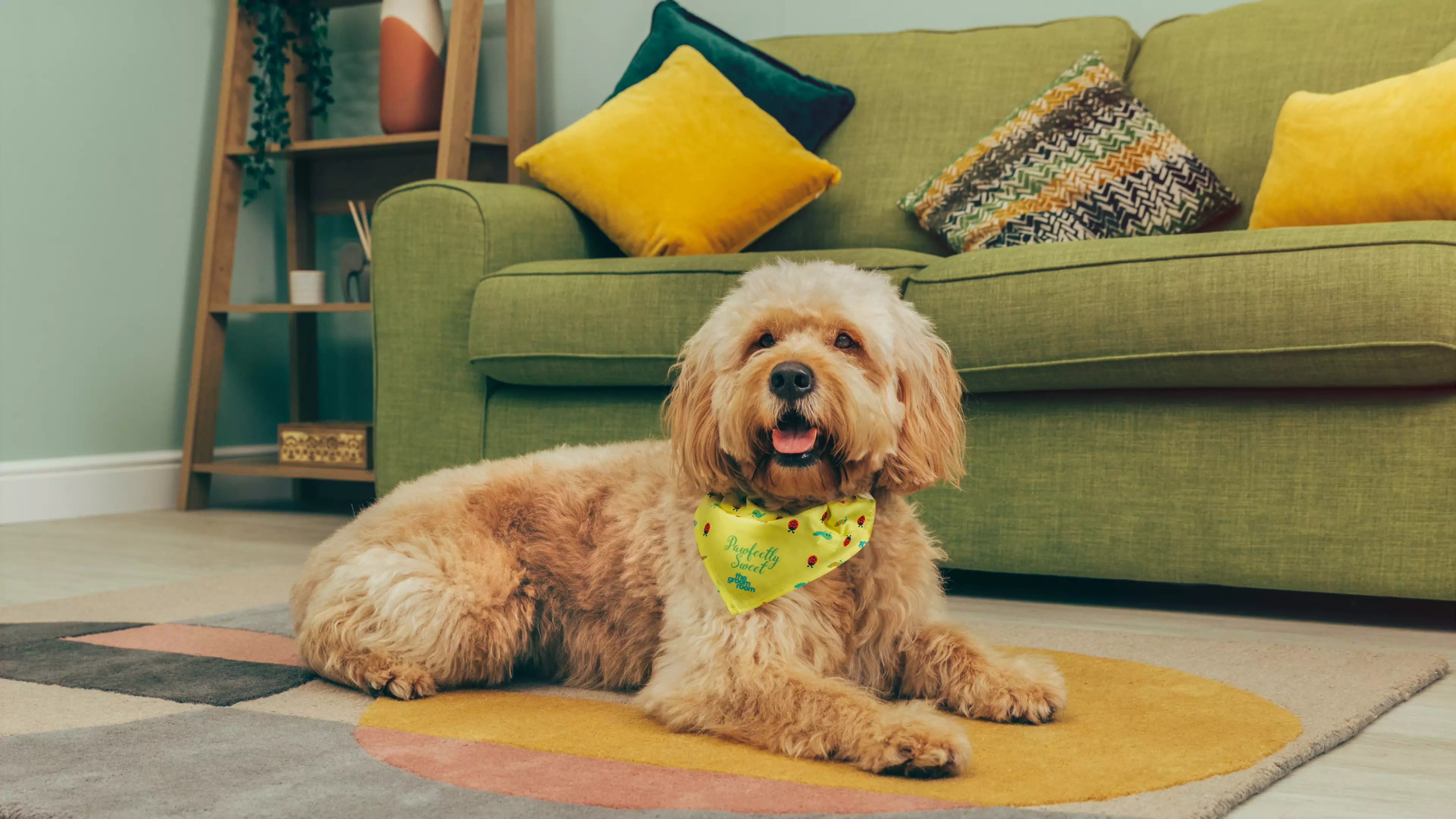 Pets At Home Launches Spa Package For Dogs, Including Luxury Blueberry Facial
