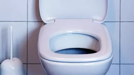 Not Flushing Your Toilet A Certain Way Leads To Disgusting Truth