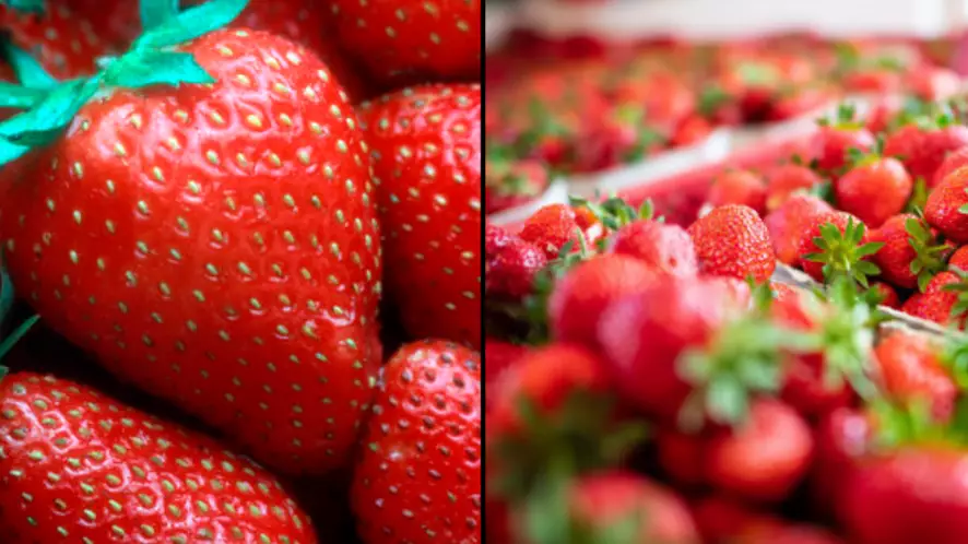 Young Boy Arrested For Putting Needles Into Strawberries In Australia
