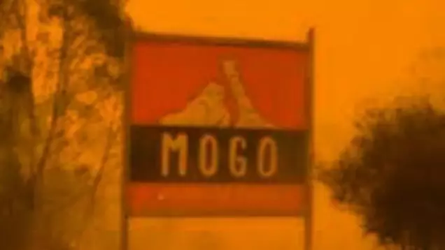 Help Is On The Way For Animals At Mogo Zoo After Staff Saved Them From Bushfire