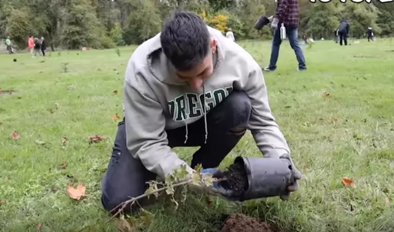 A group of YouTubers have launched a campaign to plant 20 million trees.