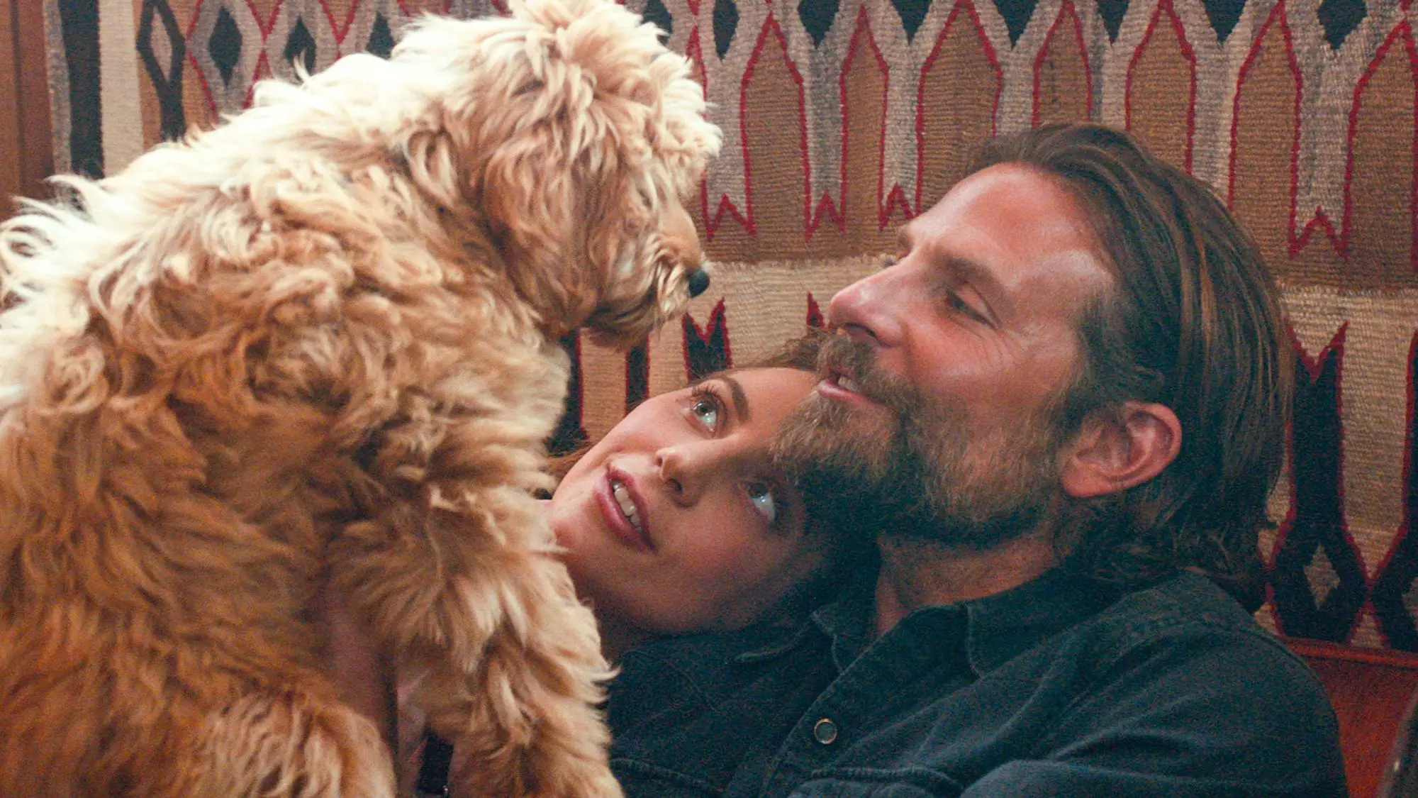 Bradley Cooper, Lady Gaga and Charlie the Dog.