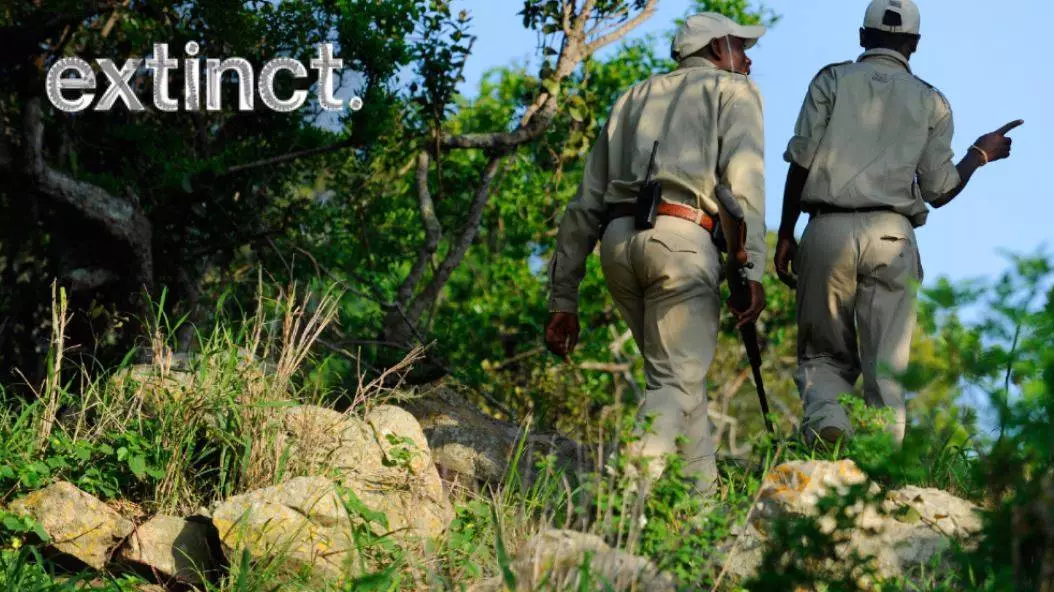 The Heroes Who Risk Their Lives To Protect Endangered African Wildlife From Poachers