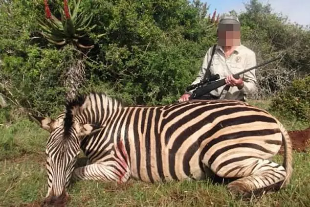 Pictures of British trophy hunters posing alongside dead zebras have been shared on social media.