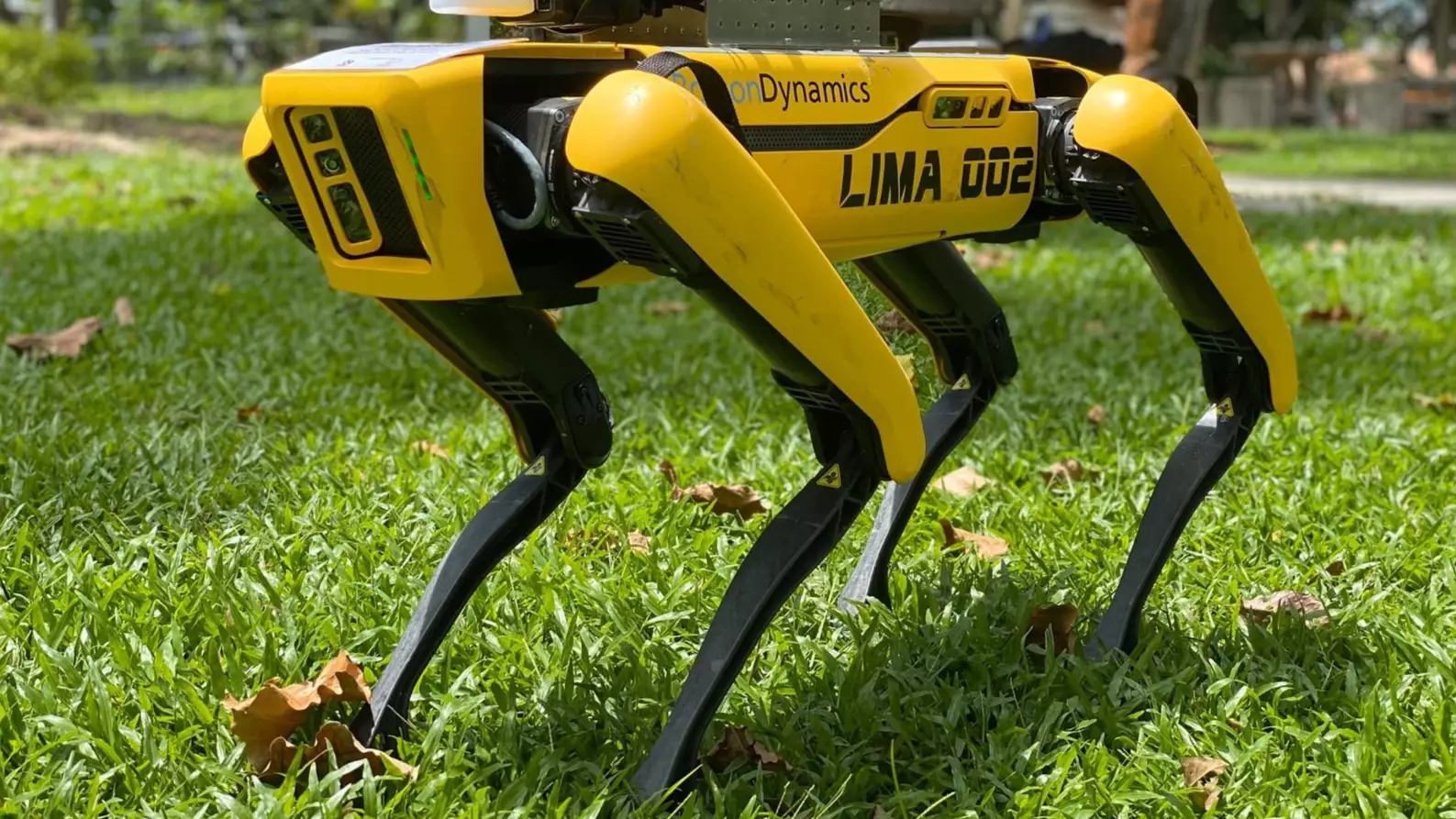 'Robodog' Is Patrolling Parks In Singapore To Help Enforce Social Distancing 