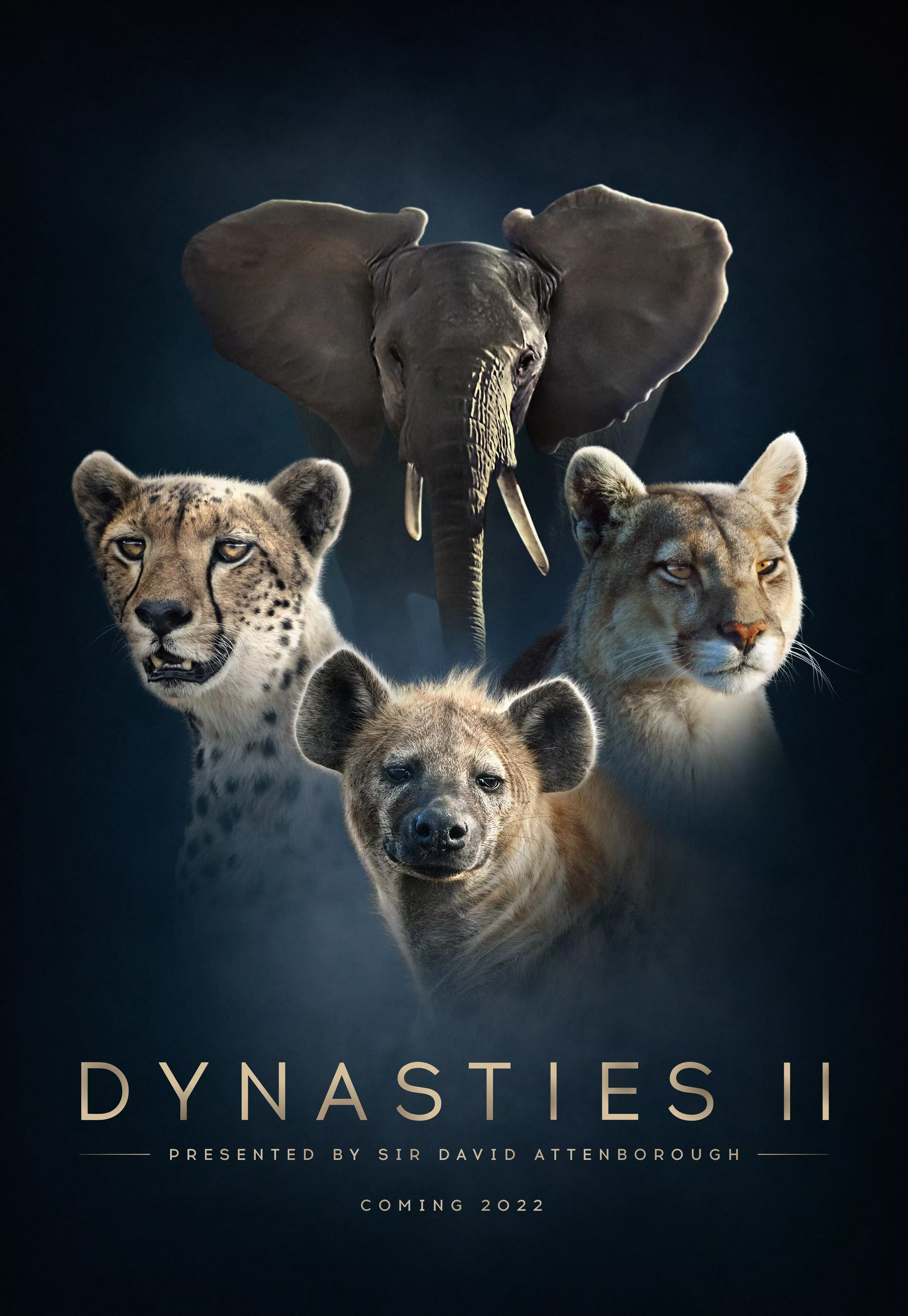 Dynasties is returning for a second series.
