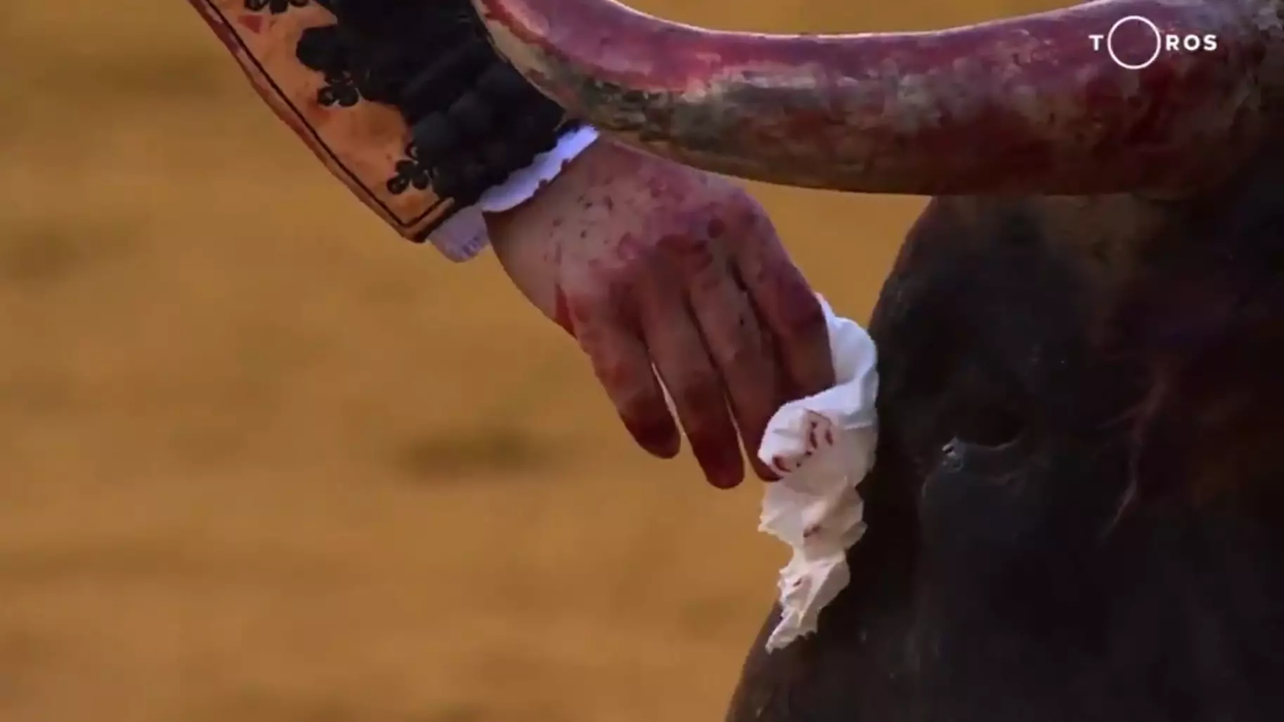 Matador Wipes Blood From Bull's Face Before Killing It 
