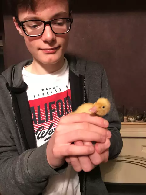 William plans to give the duck to a nearby farm where other rescue ducks live.