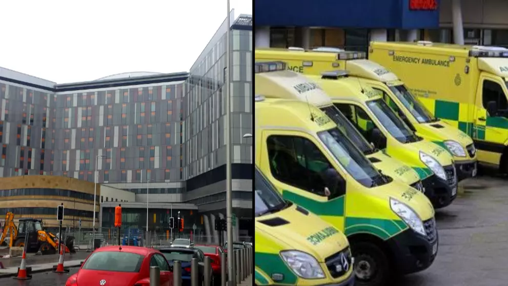 Two Dead Following Pigeon Poo Infection At Glasgow Hospital