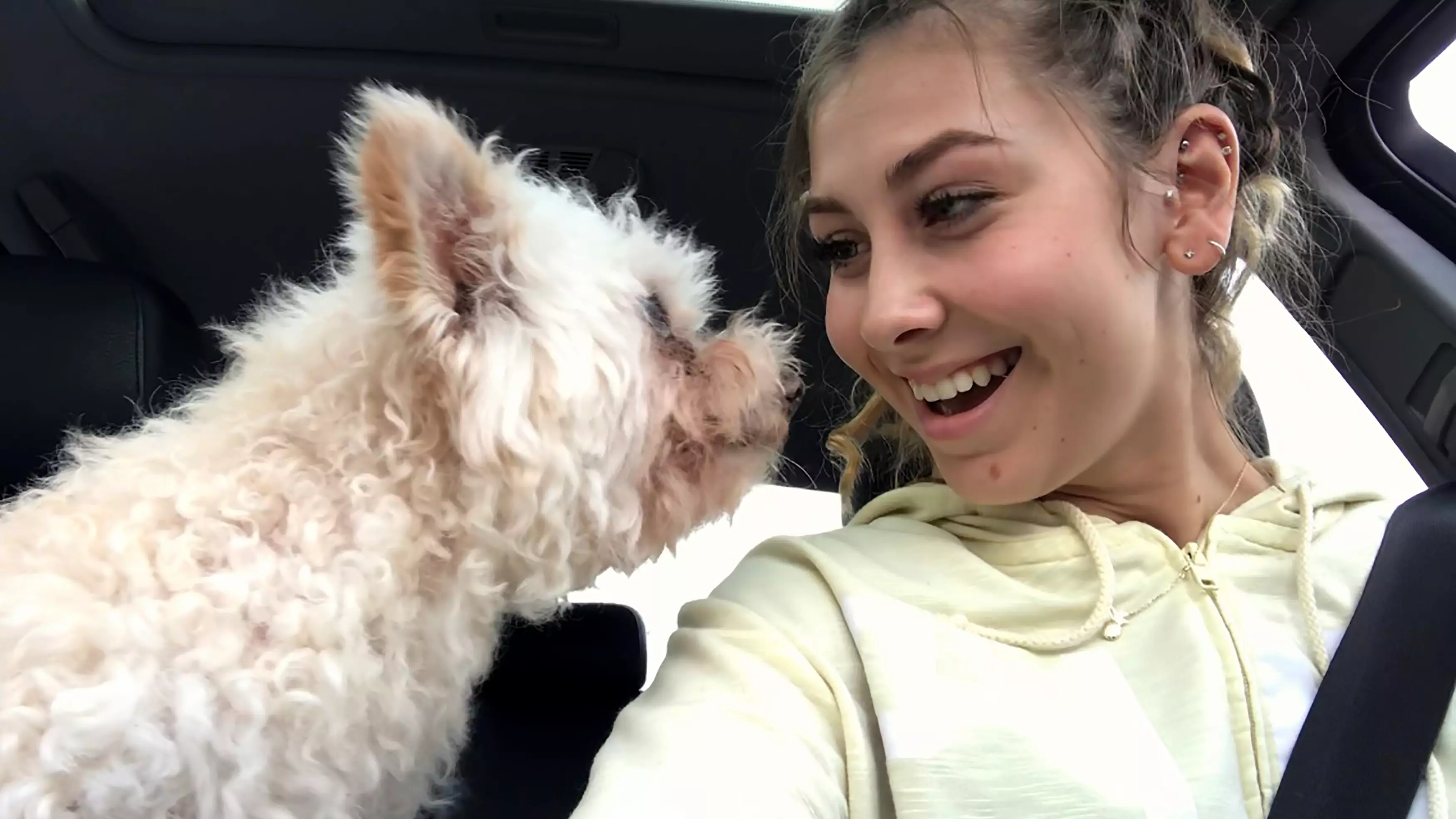 Dog Owner's Tear-Jerking Video Of 18-Year-Old Dog's Final Day