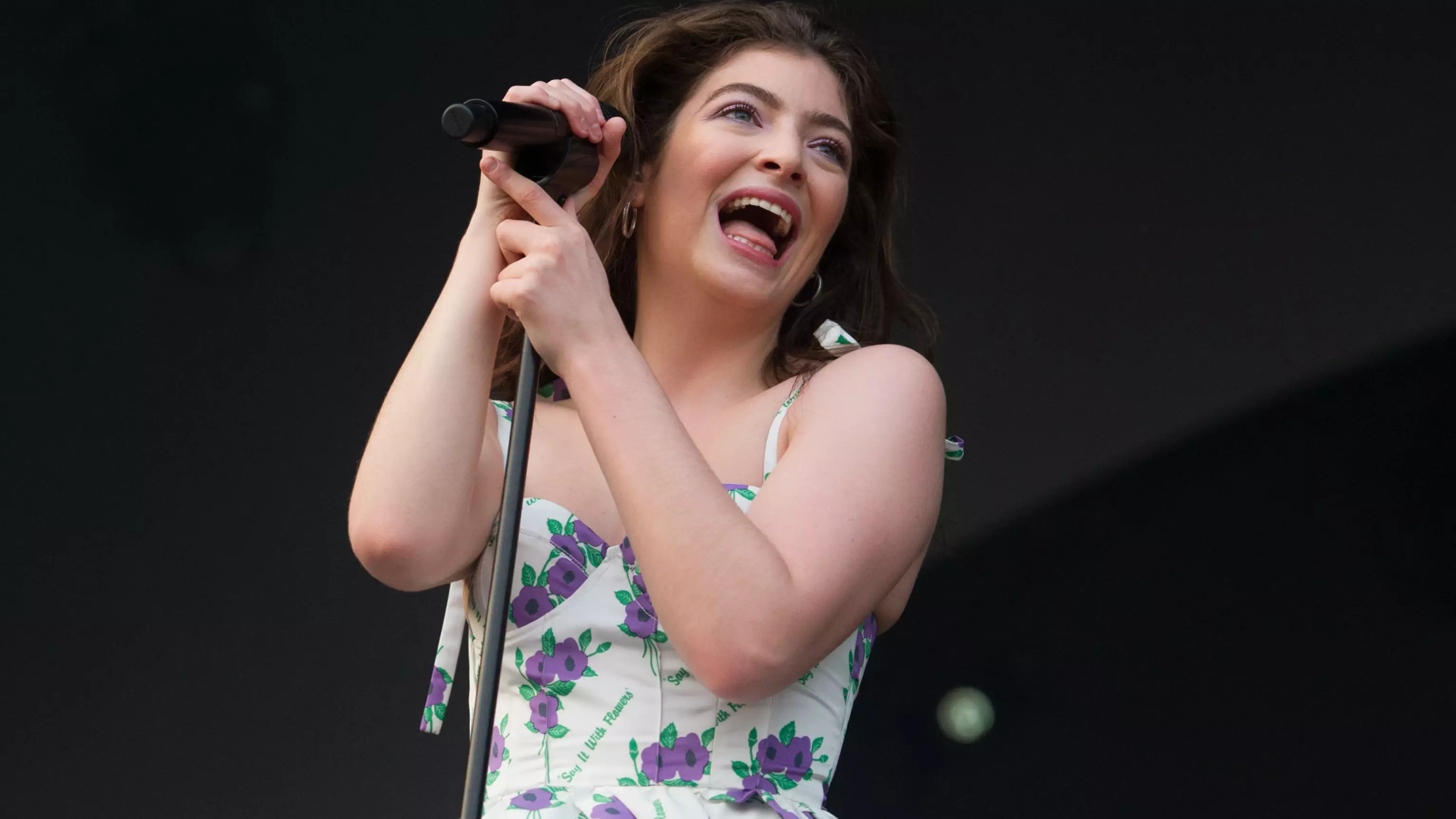 Lorde Reignites Her Onion Ring Review Page After 5 Months Of Silence