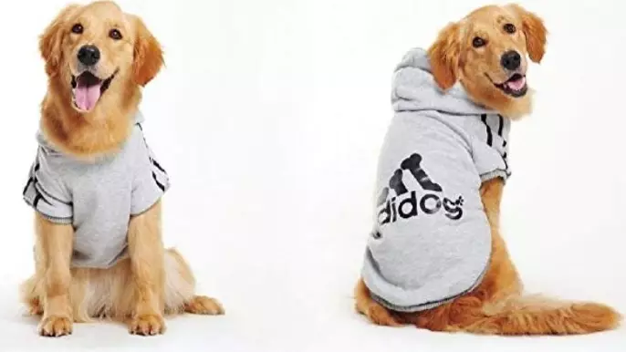 Amazon Is Selling Adidas-Inspired Outfits For Your Dog